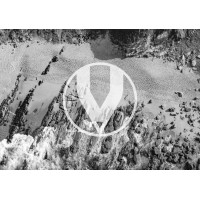 Vertus Consulting Logo