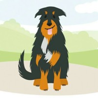 Natdogs Ltd Logo