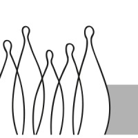 höft consultoria Logo