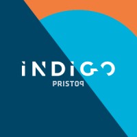 Indigo Data driven consulting Logo