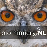 biomimicryNL Logo