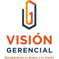 Visión Gerencial Logo