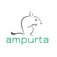 Davtin Systech Pty LIMITED t/a Ampurta Logo