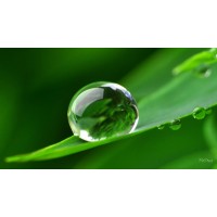 Digital Engineering Works Ltd Logo