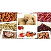 Loquat Classic Nig LTD Logo