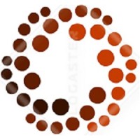 NGO The bussines people Logo