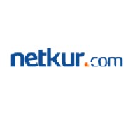Netkur Network and Security Systems Logo