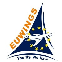 EU Wings Logo