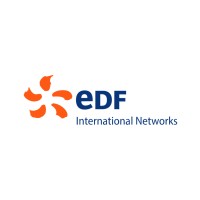 EDF International Networks Logo