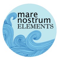 Mare Nostrum Elements Logo