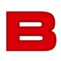 Borga Polska Logo