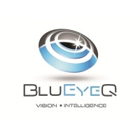 BluEyeQ LLC Logo