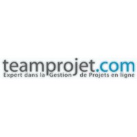 TEAM PROJET Logo