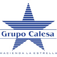 Grupo Calesa Logo