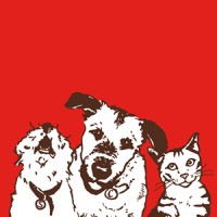Stella & Chewys Logo