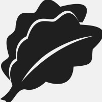 Lifestyle Foods Logo