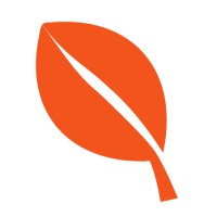Winkwaves Logo