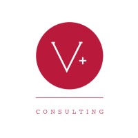 VE MAS CONSULTING Logo
