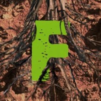 FICMEC. Festival Internacional de Cine Medioambiental de Canarias Logo