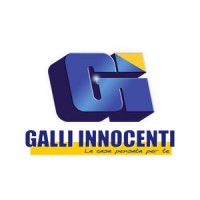 Galli innocenti & Co. Spa Logo