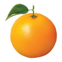 Orange Recruit Logo