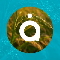 CHA Social | Marketing para o Agronegócio Logo