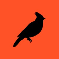Black Jays Logo