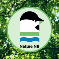 Nature NB Logo