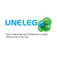 UNELEG (Union Nationale des Entreprises Locales dElectricité et de Gaz) Logo