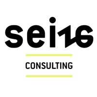 Seize Consulting Logo