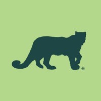 Amur Logo