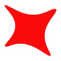 Digital Spirit PT Logo