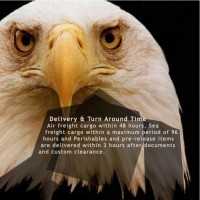 EAGLE EYES SHIPPING LTD Logo