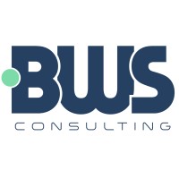 BWS Consulting Logo