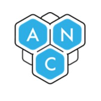 Analytic-Network Coaching Logo