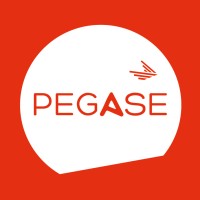 PEGASE Logo