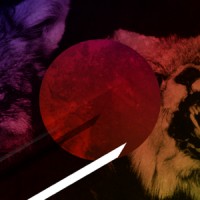 Savagecorp Studio Logo