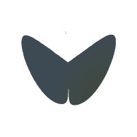 Transigence Limited Logo