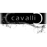 Cavalli srl Logo