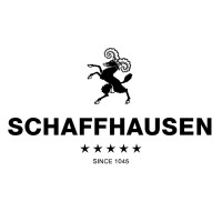 Business Location Schaffhausen Logo
