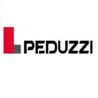 PEDUZZI Bâtiment Génie Civil Logo