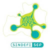 Réseau SINDEFI SEP Logo
