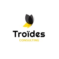 Troïdes Consulting Logo