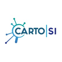 Carto-SI Logo