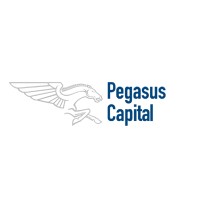 Pegasus Corporate Finance Logo