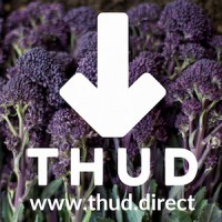 THUD Limited Logo