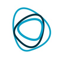 Digistone Logo