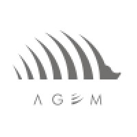Agem Logo