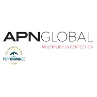 APN Global Logo