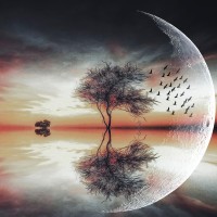 Reflective Tapestry of Life Logo